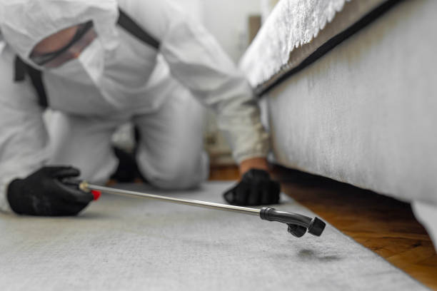 Professional Pest Control technician working in Yuma County County, CO
